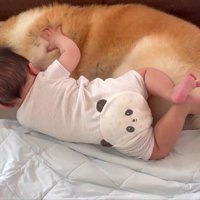 寝返りを練習する赤ちゃん