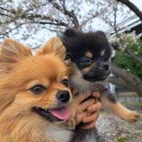 一緒におでかけ♪