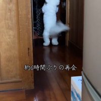 RAUくんの熱烈大歓迎3