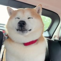 意識を保てずウトウト…