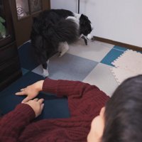 サッと離れてナデナデを拒否