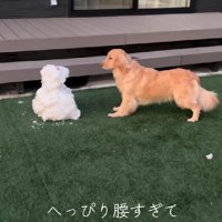 「え…なにコイツ…」