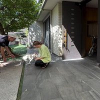 赤ちゃんに駆け寄る犬2