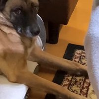 パパが熱唱している時のアキちゃん4