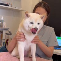 猫のような声で甘える…♡
