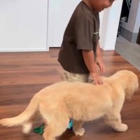 初めての子犬に興味津々♪