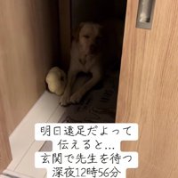 明日は遠足！！