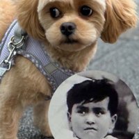 「石原氏の幼少期みたい」