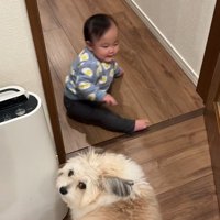 赤ちゃんを守る小太郎くん8