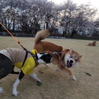 大はしゃぎ