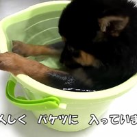 人間を信じられない…