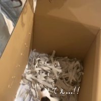 「犬がいる…！」