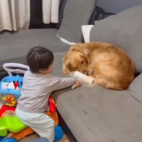 コロコロをする息子さん