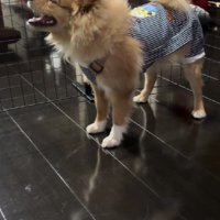 洋服を新調してもらった