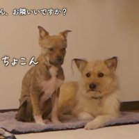 ちょっとずつ縮まる距離