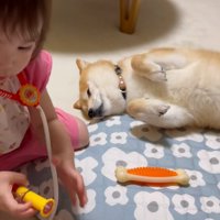 娘さんとすずちゃん