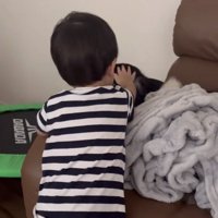 犬の頭を優しく撫でる子ども