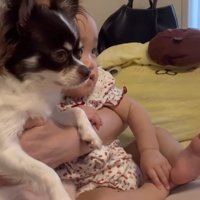 わんこと赤ちゃん♡