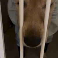 目と鼻を出すジャスミンちゃん