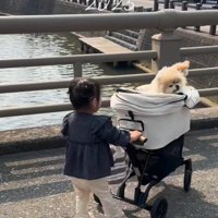 一緒にお出かけ