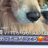 車に戻ってみたら…