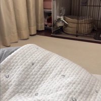 ハウスを失敗するさくらちゃん5