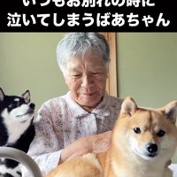 人と2匹の犬