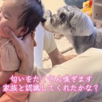 クンクン…