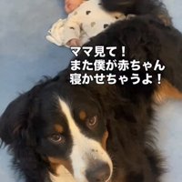 赤ちゃんのそばに伏せる犬