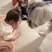 じっと見守ります