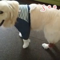 ギンちゃんの表情の変化9