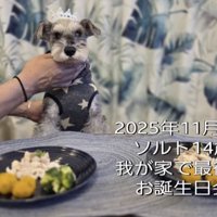 愛情と幸せがいっぱいの5377日間でした