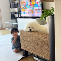 顔が似ているふたり