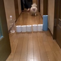 廊下に置かれたトイレットペーパーを…