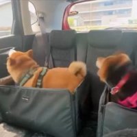 同時に