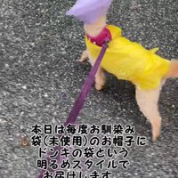 ココちゃんの雨の日コーデ♪