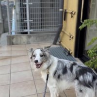 「ここでしょっ」