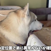 ベビーベッドを確認