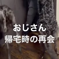 パパが帰宅すると…
