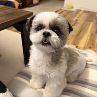 おすわり