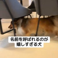 名前を呼ばれた時のリックくん9