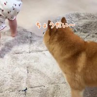 うにくんと取り合いに！！
