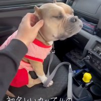 うっとりするリリーちゃん