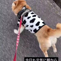 お散歩では猛ダッシュ