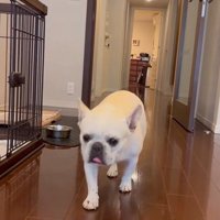 武蔵くんを呼んだ時の態度の差4