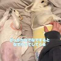 「私も！」