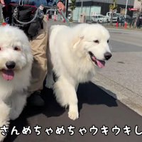 「車中泊楽しかったね！」