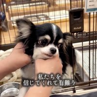 もう一度人間を信じてくれた