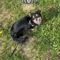 走るのが楽しくてニッコリ♪