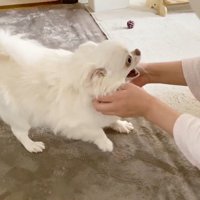 「遅いよ！寂しかったんだから！」